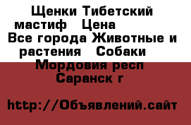  Щенки Тибетский мастиф › Цена ­ 50 000 - Все города Животные и растения » Собаки   . Мордовия респ.,Саранск г.